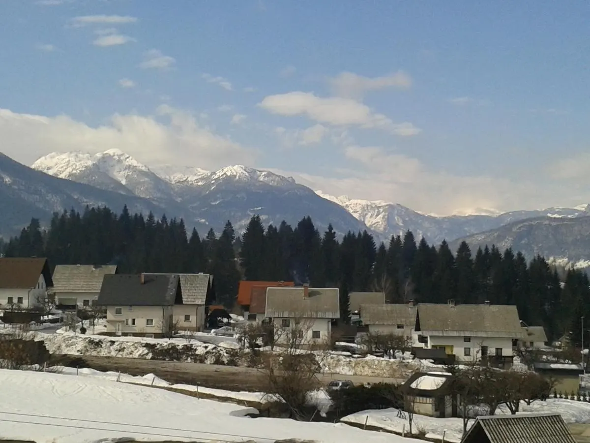 Gore nad Bohinjsko Bistrico pozimi